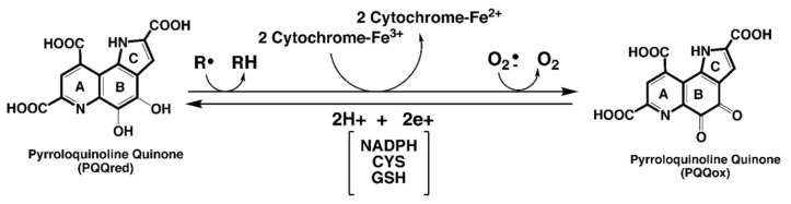 包含圖片、插圖等的外部文件。
對象名稱為 biomolecules-11-01441-g001.jpg