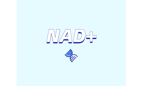 NAD+ 對(duì)身體有什么作用？如何獲取 NAD+？